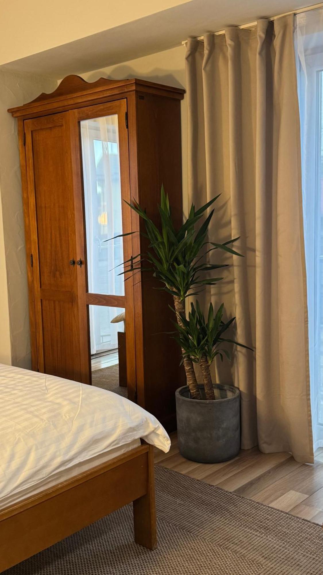 Hotel Lucy Star Cluj-Napoca Eksteriør billede